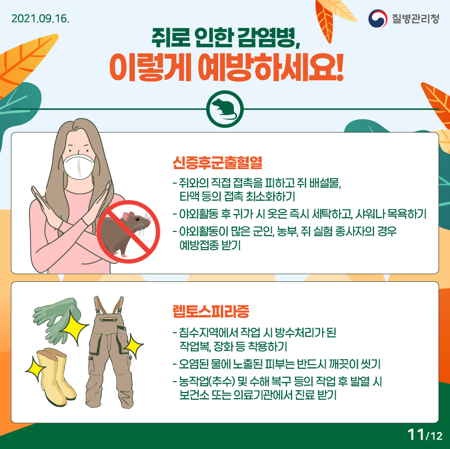 2021년 9월 16일. 질병관리청. 쥐로 인한 감염병, 이렇게 예방하세요! (신증후군출혈열) - 쥐와의 직접 접촉을 피하고 쥐 배설물, 타액 등의 접촉 최소화하기. - 야외활동 후 귀가 시 옷은 즉시 세탁하고, 샤워나 목욕하기 - 야외활동이 많은 군인, 농부, 쥐 실험 종사자의 경우 예방접종 받기 (렙토스피라증) - 침수지역에서 작업 시 방수처리가 된 작업복, 장화 등 착용하기. - 오염된 물에 노출된 피부는 반드시 깨끗이 씻기. - 농작업(추수) 및 수해 복구 등의 작업 후 발열 시 보건소 또는 의료기관에서 진료 받기. 12페이지 중 11페이지